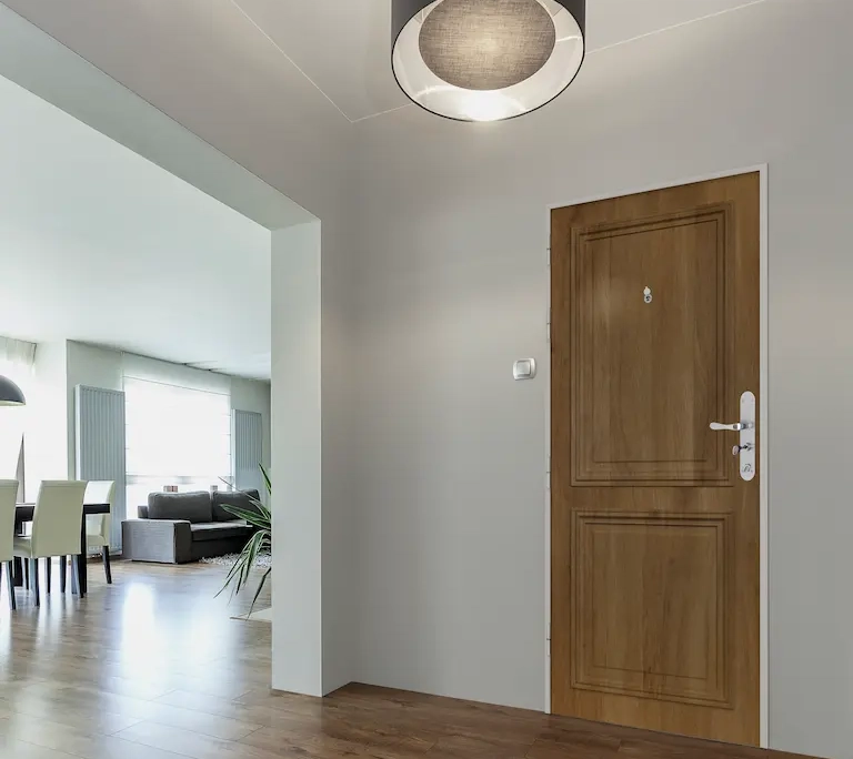 vue d'une porte d'entrée dans un salon